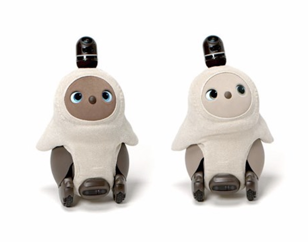 Deux robots compagnons Lovot côte à côte